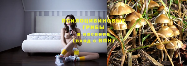 тгк Майский