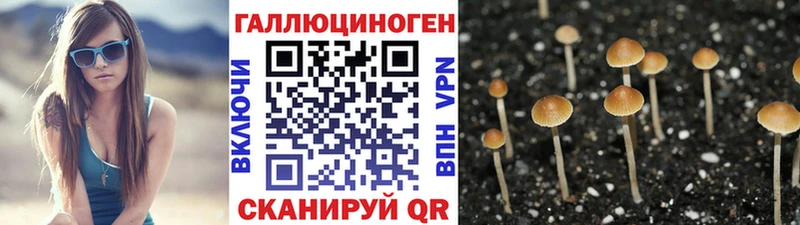 Псилоцибиновые грибы прущие грибы Купить где Бутурлиновка